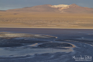Laguna Colorada