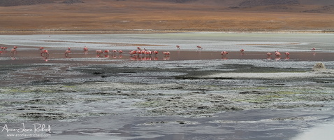 Sud Lipez