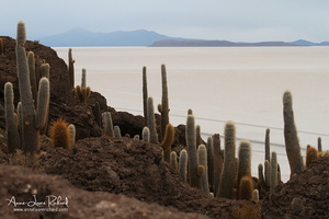 Sud Lipez