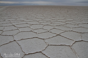Sud Lipez
