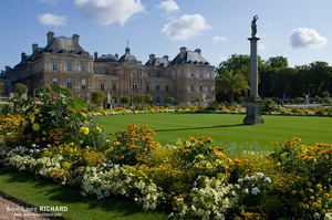 Ile-de-France