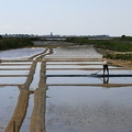 Marais salants