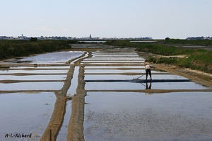 Pays de la Loire