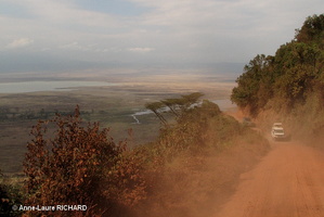 NGorongoro