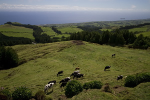 Sao Miguel