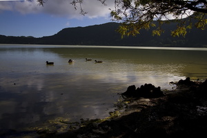 Furnas