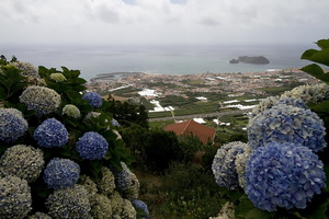 Vila Franco do Campo