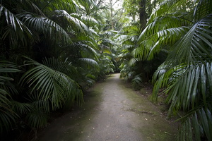 Jardin botanique Terra Nostra