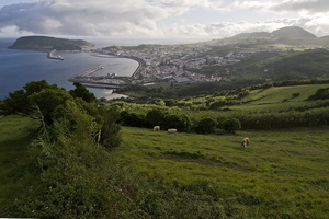 Horta