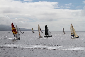 Douarnenez-Horta Solo