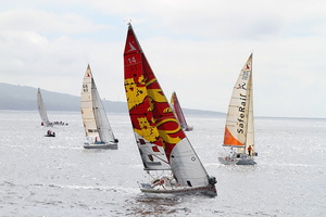 Douarnenez-Horta Solo