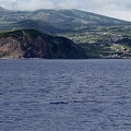 Faial
