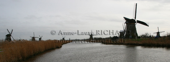 IMG 9067