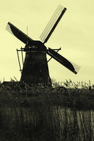 IMG 9081