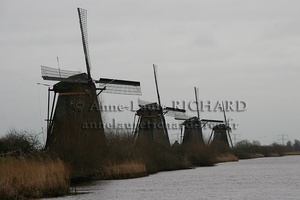 IMG 9086