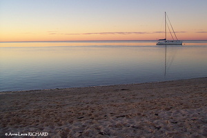 Shark Bay