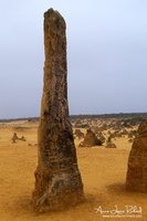 Pinnacles Desert