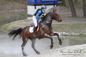 Alice NABER-LOZEMAN & Harry Belafonte (761865 visits) Alice NABER-LOZEMAN & Harry Belafonte - Hannovrien par Heraldik XX x Zamira - CICO 3* Fontainebleau ... Alice NABER-LOZEMAN & Harry Belafonte