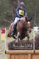Jan VAN BEEK & Vamp du Monselet (56161 visits) Jan VAN BEEK & Vamp du Monselet - CICO 3* Fontainebleau 2016 Jan VAN BEEK & Vamp du Monselet