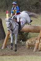 Nicolas TOUZAINT & Crocket 30 (59852 visits) Nicolas TOUZAINT & Crocket 30 - CICO 3* Fontainebleau 2016 Nicolas TOUZAINT & Crocket 30