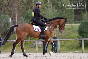 Arnaud BOITEAU & Sultan de la Motte