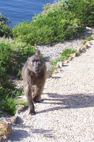 Cape Point
