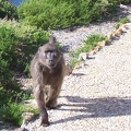 Cape Point