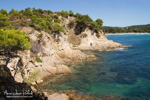 Bormes les Mimosas