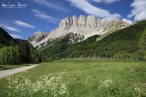Grand Veymont