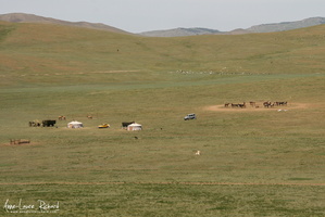 Steppe mongole