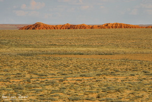 Paysage mongol