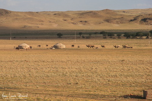 Désert de Gobi
