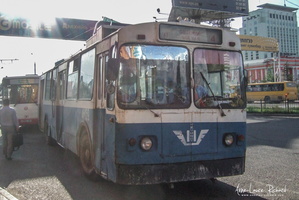 Bus