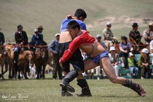 IMG 7374