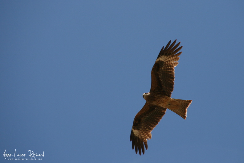IMG_8059.jpg