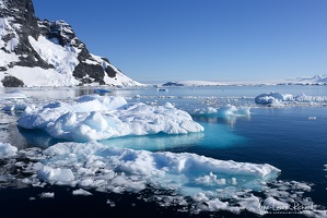 Antarctique