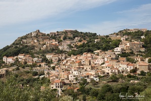 IMG 7423