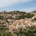 IMG 7423