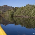 IMG 7607
