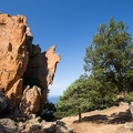 IMG 7834