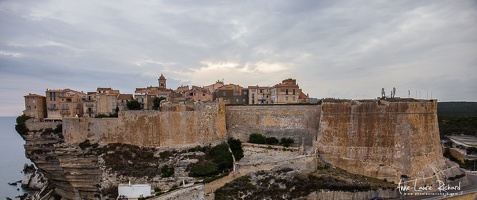 IMG 8717