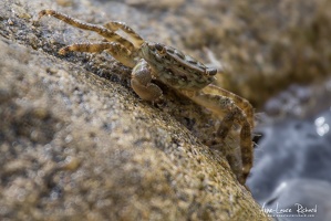 IMG 8797