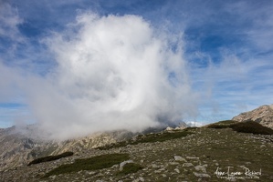 IMG 9046