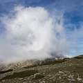 IMG 9046