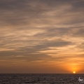 IMG 9294